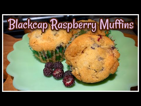 💜 Forage Blackcap Raspberries & Make Delicious Muffins!