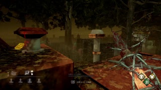 DBD