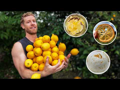 What Do You Do With THIS Many Lemons?