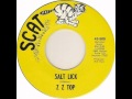 ZZ Top - Salt Lick (1969)