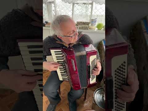 Weltmeister Stella piano accordion, 3/4 accordion, 80 Bass, 34 keys, 3 voices, 5+3 registers