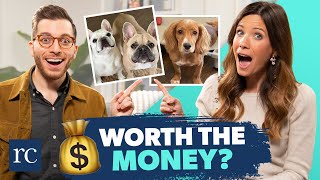 How Much Having a Pet Is Actually Costing You with George Kamel