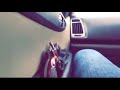 GUN WITH CAR DRIVING STATUS VIDEO SIXER GUN WHATSAPP STATUS VIDEO
