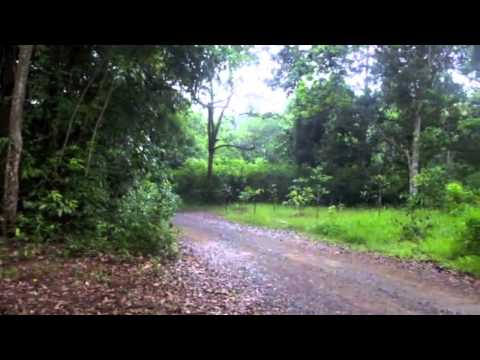 S3P Labor Photowalk Challenge in Pulau Ubin