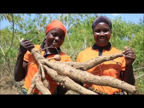 Kolping Tansania: Frauen in Aktion - Weltfrauentag 2024