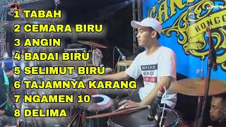 Download lagu TABAH LILIN HERLINA KENDANG RENDY FULL ALBUM mp3