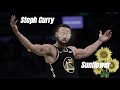 Steph Curry Mix Sunflower