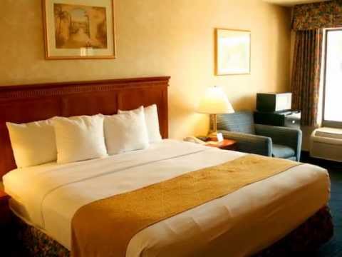Best Western I-17 Metro Center Inn Phoenix AZ