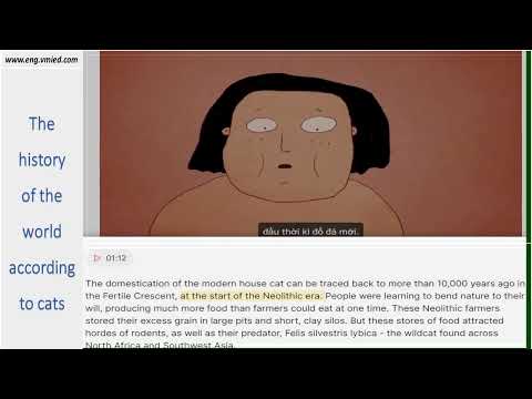 THE HISTORY OF THE WORLD ACCORDING TO CATS | LUYỆN NGHE TIẾNG ANH NÂNG CAO - BÀI 1