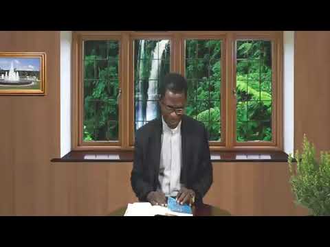 THE DAILY FOUNTAIN OF AUGUST 16, 2017