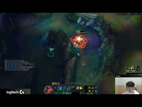 DK Canyon Plays Sejuani JUNGLE