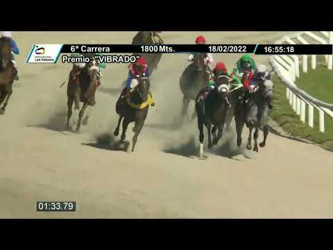 220218 C06 - EL FENOMENO - HIPODROMO LAS PIEDRAS - PREFERENCIAL "VIBRADO"