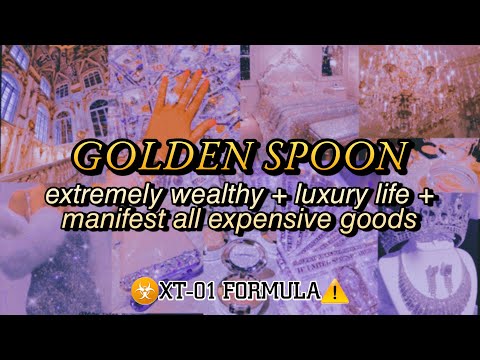 XT-01 MONEY MAGNET EXTREME WEALTH & LUXURY LIFE ...
