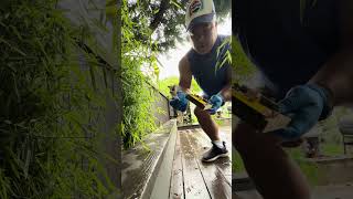 Using the Victor snap trap to catch rats! How to DIY