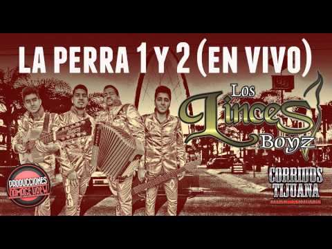 Lincez  Boyz - la perra 1 y 2 (en vivo) *corridos selectos*