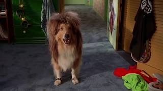 Wayne's World - Garth's dog (All scenes) [Subs español] video
