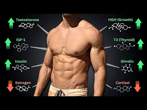 All-Natural Hormone Hacks for Muscle Growth & Fat Loss: T, HGH, Cortisol, IGF-1, Insulin, T3 & More!