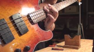 Video thumbnail for Ibanez Roadstar II Bass Guitar 1983 by Dave's World of Fun Stuff