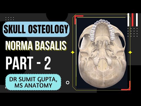 NORMA BASALIS ( Part : 2/3 )
