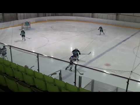 Pelicans Valkoinen -  HJK 13.02.2022