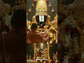 Sri Venkateswara Suprabhatam Whatsapp Status MS Subbulakshmi Sri Venkateswara Suprabhatham PK25