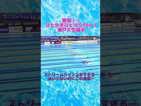 園芸 スイミングプールビーチ