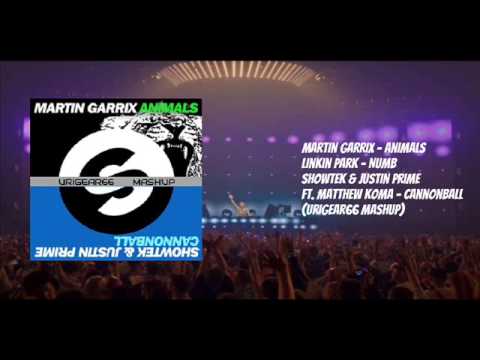 Animals vs Numb vs Cannonball (URIGEAR Mashup)