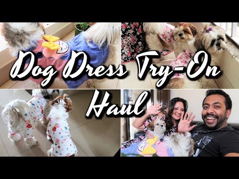 Dog Clothing Haul | Pet Dress Haul | Puppy Clothing Haul | Dog Dress Try On Haul Video