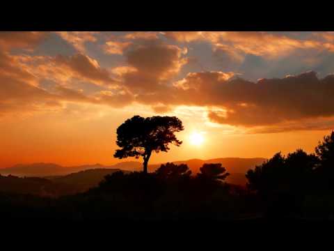 Sia Breathe Me (Mylo Remix)