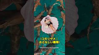 AIと勘違いされる魚の大群