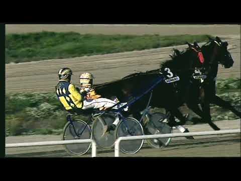 Napoli Trotto 28/10/2022 - 6ª corsa