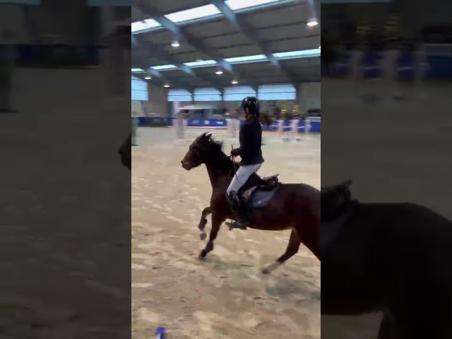 GRAND PRIX AS ELITE COYOTTE GIRL DU GARON