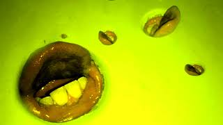 Death Grips - Little Richard (Subtitulado)