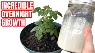SUPERCHARGE YOUR SOIL | This Common Pantry Item Is Never Used In Gardens (But Should Be)