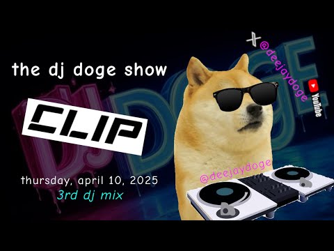 dj mix #3 (The DJ DOGE Show 04-10-25)