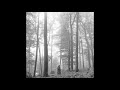 T A Y L O R S W I F T Folklore Full Album