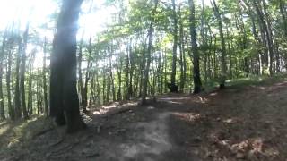 preview picture of video 'Stockcity Trails - Burgweg (Hadersfeld nach Greifenstein)'