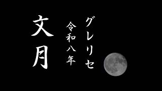 Dead by Daylight【実況#301】2026.July グレードリセット直後にやってく回