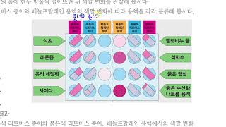 [초등과학 5-2 무료강의] 5. 산과 염기 ② 지시약을 이용해 여러 가지 용액을 어떻게 분류할 수 있을까요? 1