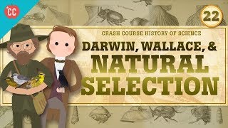 Darwin and Natural Selection: Crash Course History of Science #22