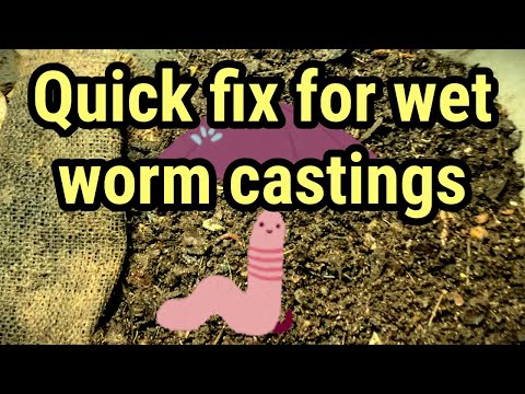 Quick fix for wet worm castings! #vermicompost #vermicomposting