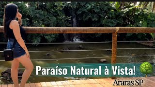 Aventura no Parque Ecológico de Araras e Lago Municipal: Um Dia de Natureza em Araras, SP! 🌴🐦