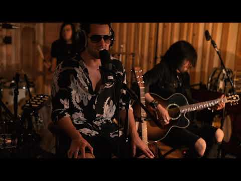 Analog Party - Sludge Factory (Alice In Chains Cover)