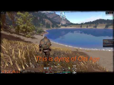 Просмотреть видео