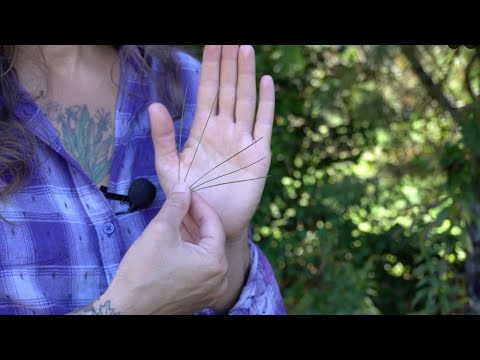 Wild Spices (Part One): Wood Nettle, Bee Balm, White Pine, Hemlock