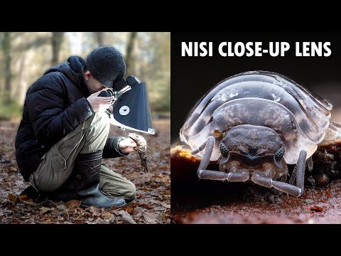NiSi 49mm Close-Up Macro Lens Review