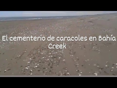 Recorriendo el cementerio de caracoles entre las dunas y el mar 2