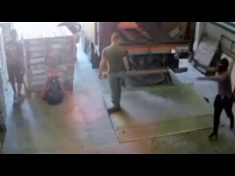 Fatal intento de robo: un ex policía baleó y mató a un ladrón en un depósito de huevos