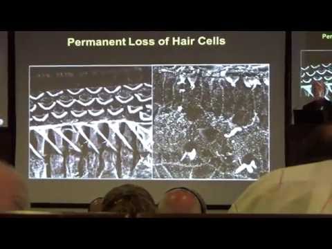 Corso a Valenzia 2016: Trauma acustico "prima parte"