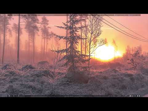 ArcoLinux : 2433 How to install Wmderland on Arch Linux - get yay via TTY or paru or ...